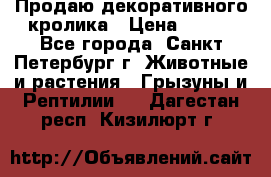 Продаю декоративного кролика › Цена ­ 500 - Все города, Санкт-Петербург г. Животные и растения » Грызуны и Рептилии   . Дагестан респ.,Кизилюрт г.